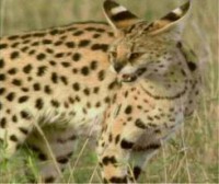 /album/galerie-photos/b-jpg/