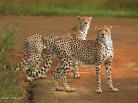 /album/galerie-photos/d-jpg/