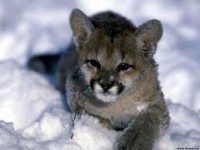 /album/galerie-photos/g-jpg/