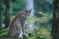 /album/galerie-photos/o-jpg/