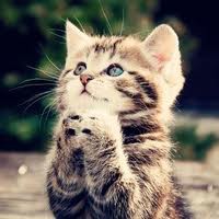 /album/galerie-photos/v-jpg/