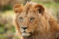 /album/galerie-photos/a3-jpg1/