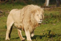 /album/galerie-photos/a10-jpg/