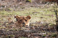 /album/galerie-photos/a11-jpg/