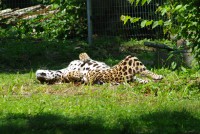 /album/galerie-photos/a12-jpg/