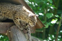 /album/galerie-photos/a14-jpg/