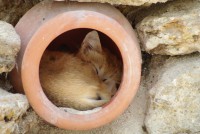 /album/galerie-photos/a16-jpg/