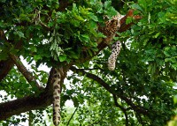 /album/galerie-photos/a20-jpg/