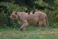 /album/galerie-photos/a21-jpg/