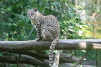 /album/galerie-photos/a25-jpg/