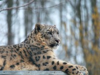 /album/galerie-photos/a26-jpg/