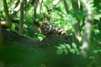 /album/galerie-photos/a27-jpg/