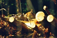 /album/galerie-photos/a30-jpg/