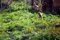 /album/galerie-photos/a31-jpg/