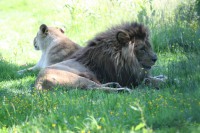 /album/galerie-photos/a32-jpg/