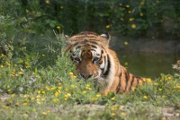 /album/galerie-photos/a34-jpg/