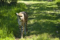 /album/galerie-photos/a35-jpg/