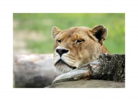 /album/galerie-photos/a37-jpg/