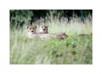 /album/galerie-photos/a38-jpg/