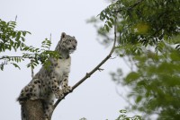 /album/galerie-photos/a39-jpg/