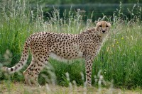 /album/galerie-photos/a40-jpg/