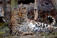 /album/galerie-photos/a46-jpg/