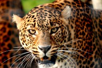 /album/galerie-photos/a47-jpg/