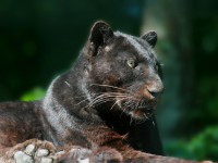 /album/galerie-photos/a49-jpg/