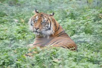 /album/galerie-photos/a50-jpg/